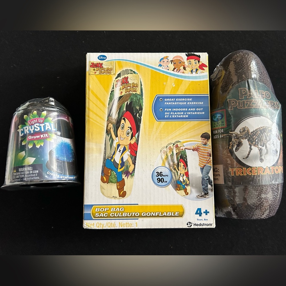 Set of (3) Brand New Toys: Bop Bag, Light Up Crystal Grow Kit, Paleo Puzzlers